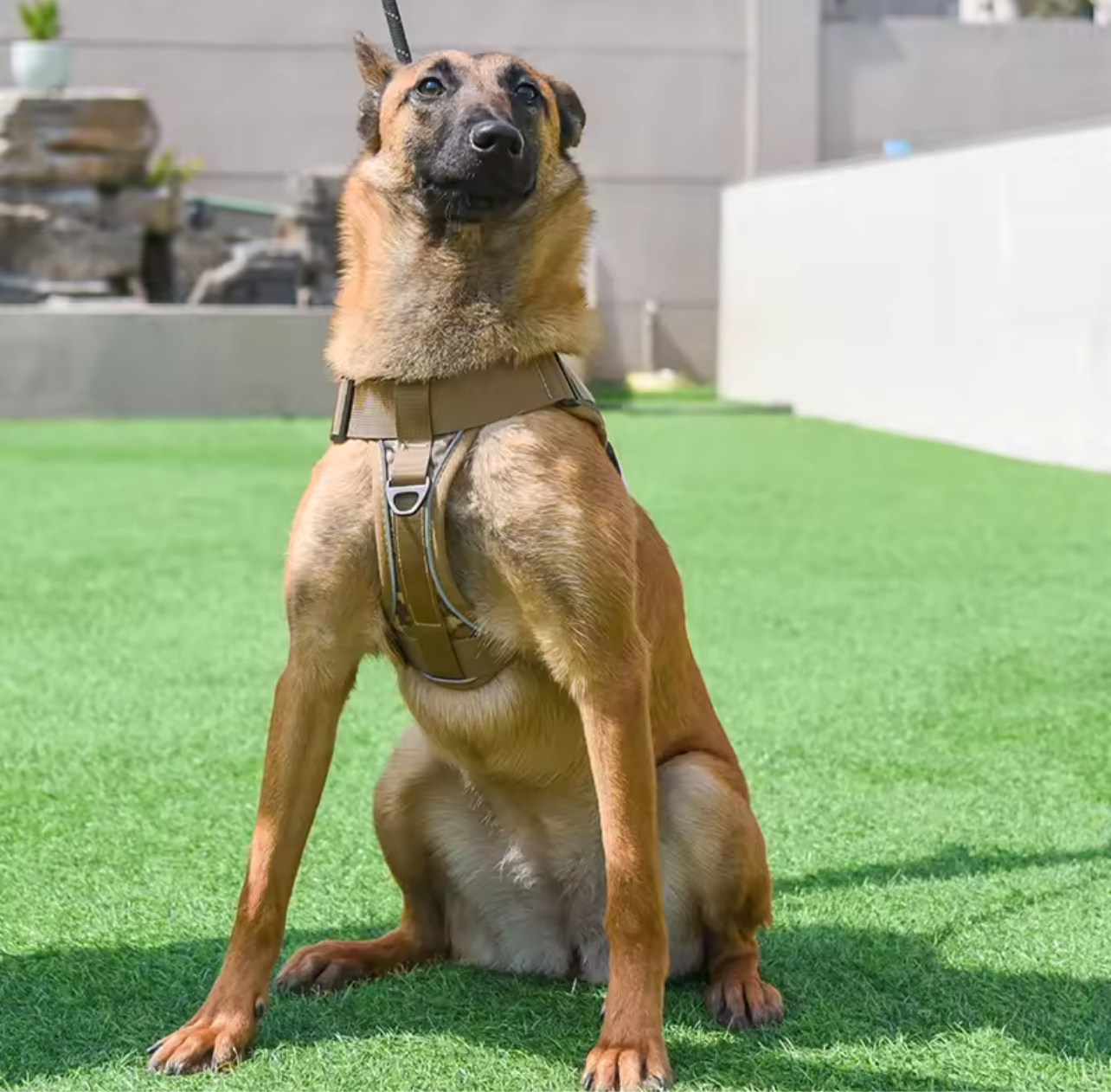 Adjustable Reflective Tactical Dog Harness – No-Pull & High Visibility Safety