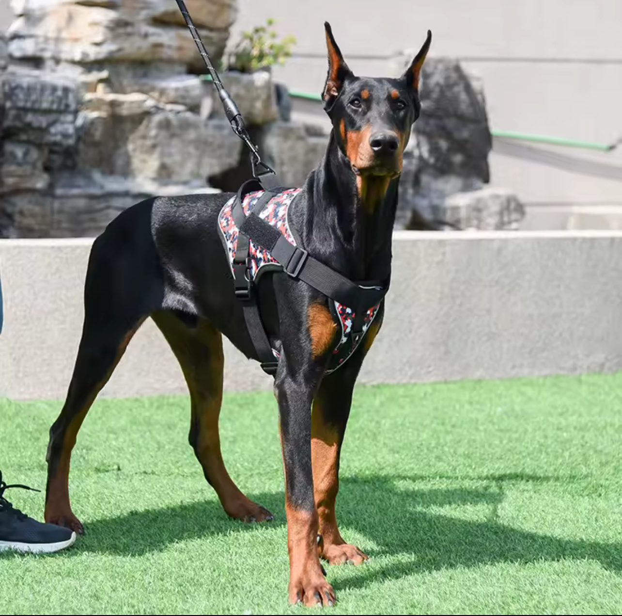 Adjustable Reflective Tactical Dog Harness – No-Pull & High Visibility Safety