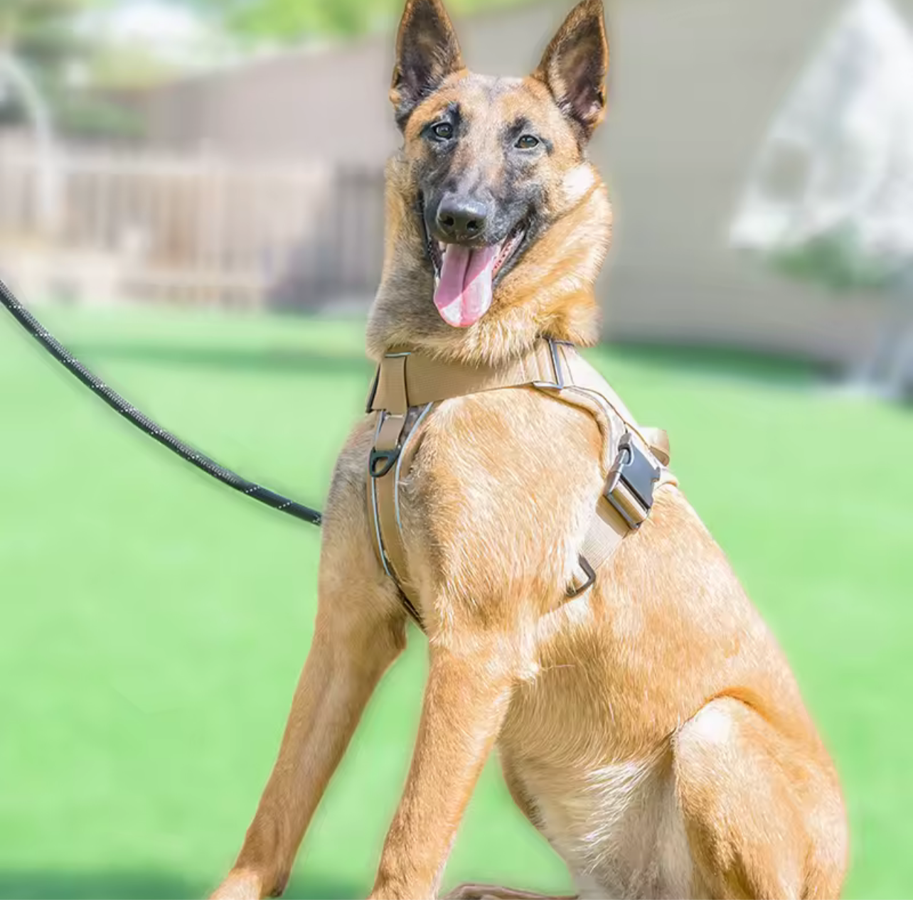Adjustable Reflective Tactical Dog Harness – No-Pull & High Visibility Safety