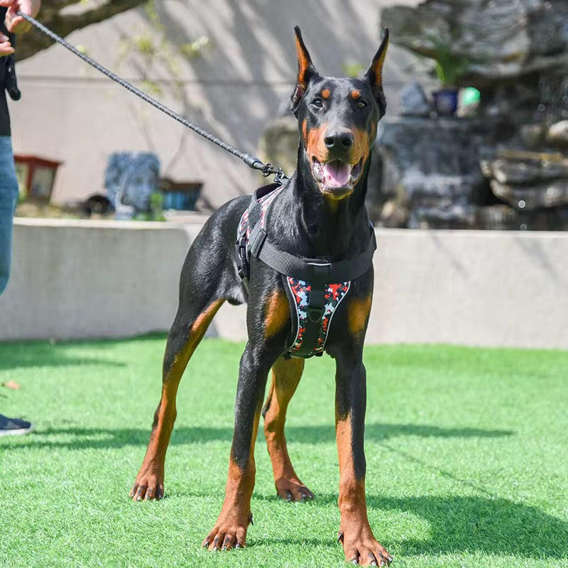 Adjustable Reflective Tactical Dog Harness – No-Pull & High Visibility Safety