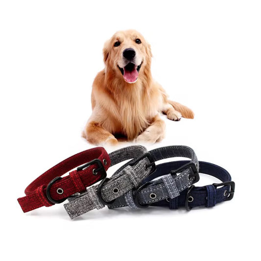 Dog Collar