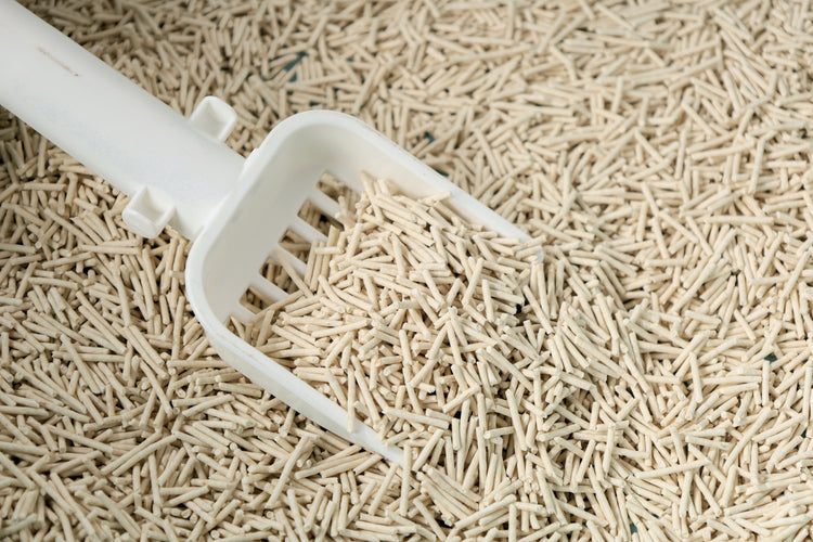 M-PETS Soya Organic Tofu Cat Litter – Natural, Biodegradable & Fast-Clumping Cat Litter in Kenya