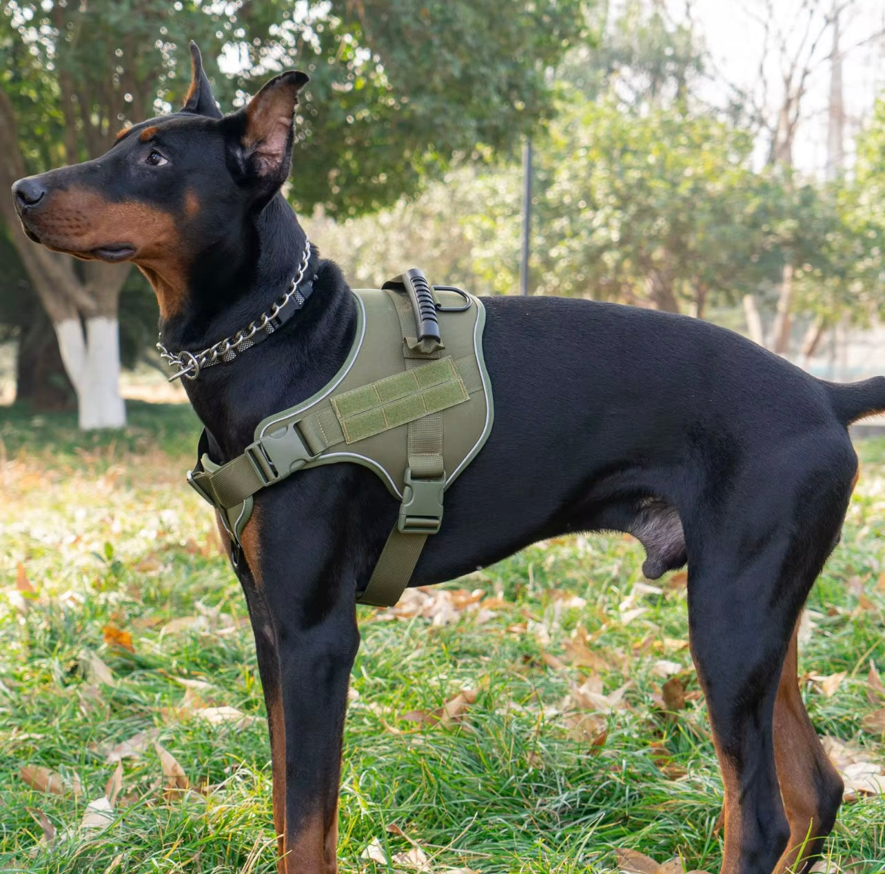 Heavy-Duty Tactical Dog Harness with MOLLE Panels & Reinforced Handle