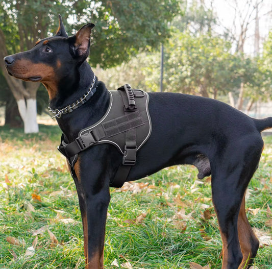 Heavy-Duty Tactical Dog Harness with MOLLE Panels & Reinforced Handle