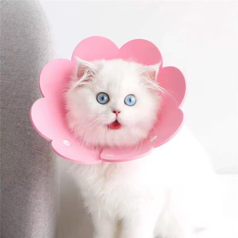 Anti-Licking Elizabeth Cone for Cats – Soft, Comfortable, and Adjustable Recovery Collar in Kenya