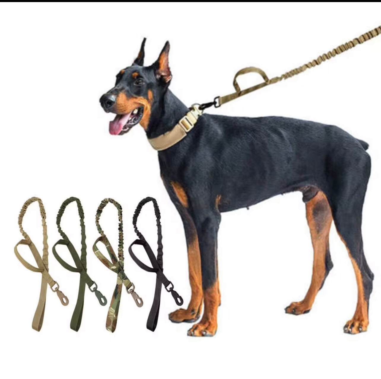 Durable & Stylish Tactical Dog Leash – Safe Walks with Your Pet | Petcore.Ke