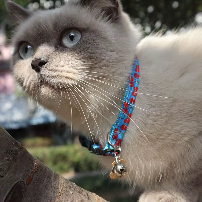 Cat Collar - Fruit Print