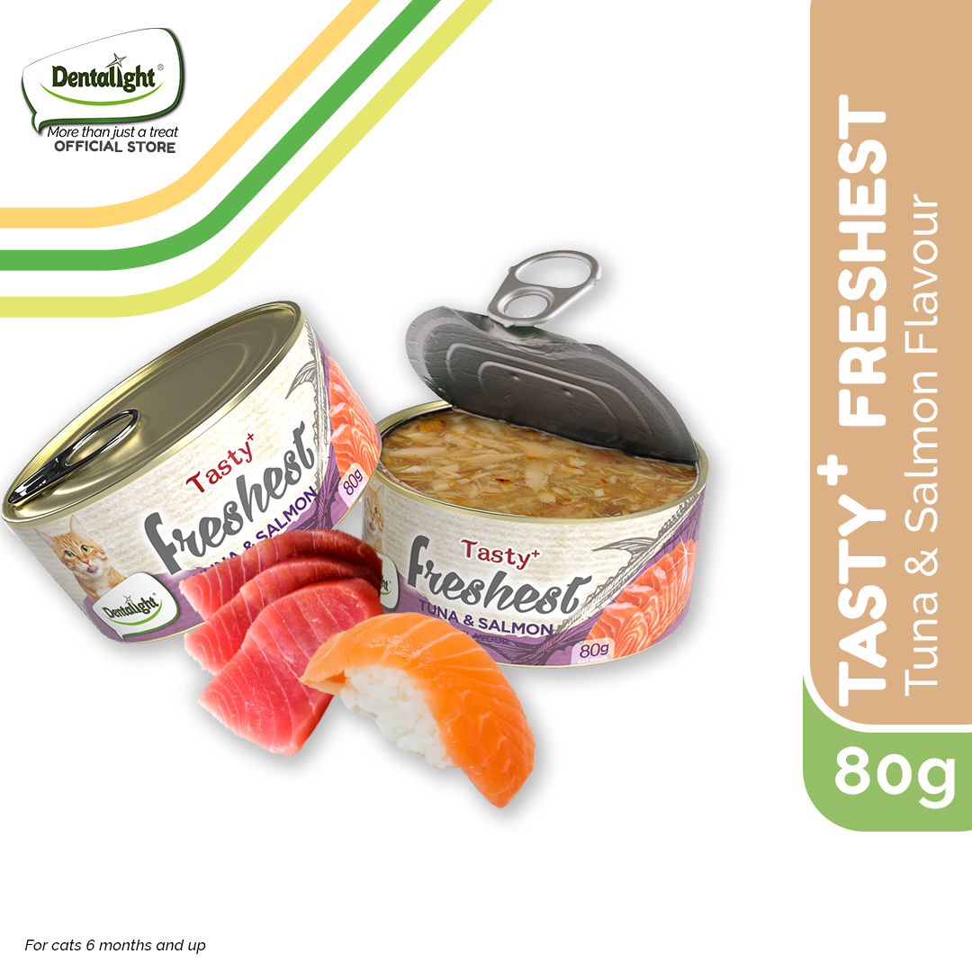 Dentalight Tuna & Salmon Cat Treat Cans – Tasty + Freshest Complementary Cat Snacks (80g)
