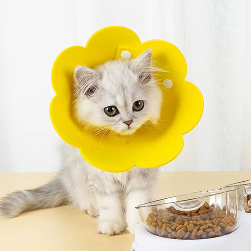 Anti-Licking Elizabeth Cone for Cats – Soft, Comfortable, and Adjustable Recovery Collar in Kenya