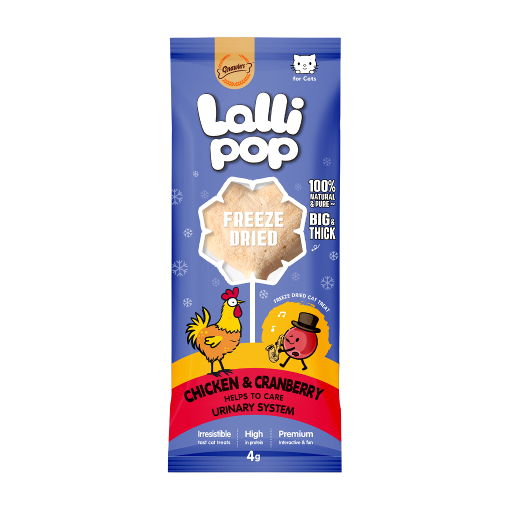 Gnawlers Freeze-Dried Chicken & Pumpkin Lollipop Cat Treats | High-Protein Healthy Cat Treats in Kenya