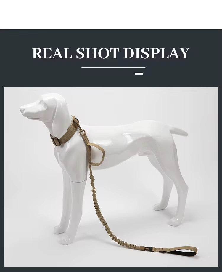 Tactical Dog Leash