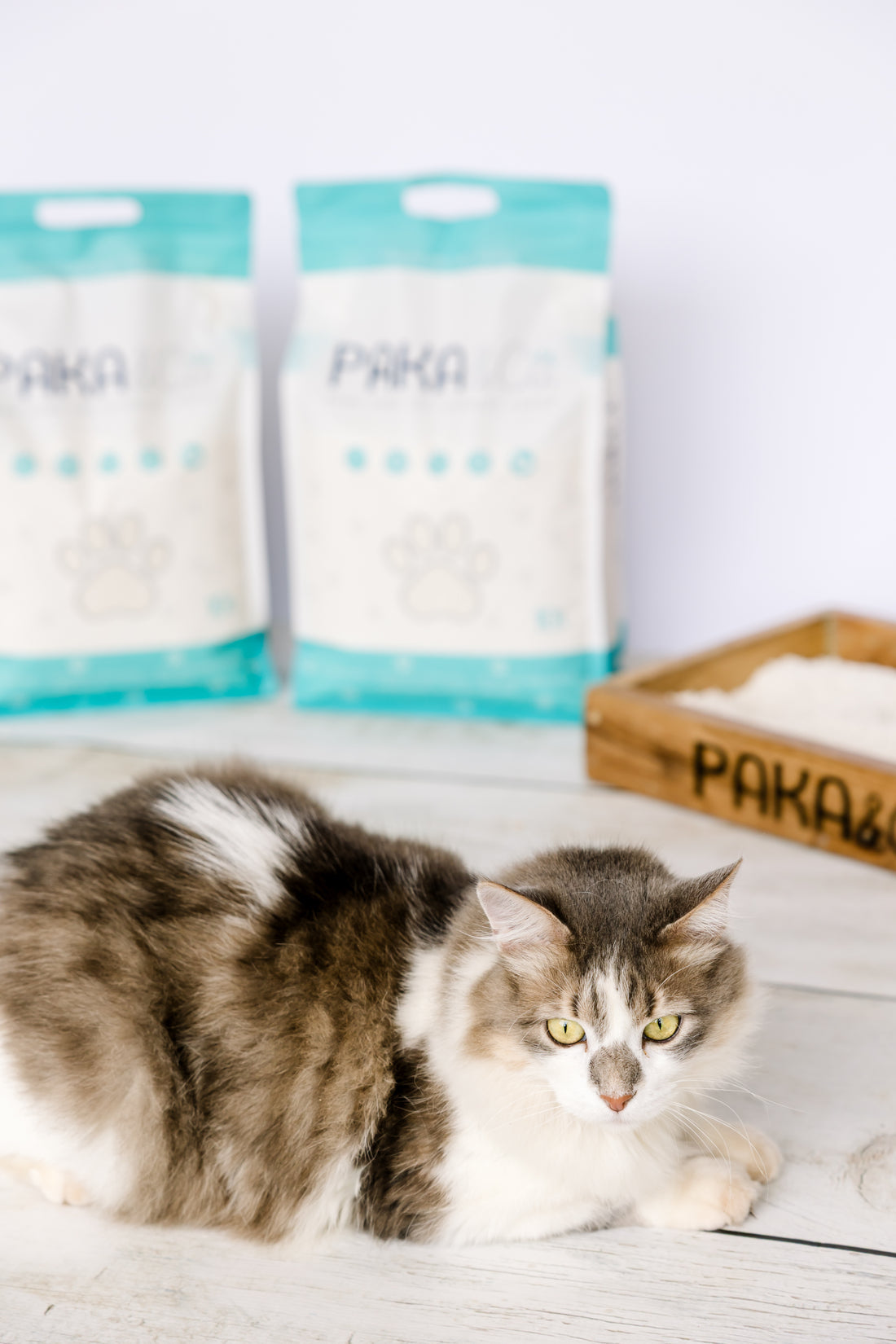 Paka & Co Cassava Cat Litter – Natural Clumping Low Dust Cat Litter in Kenya