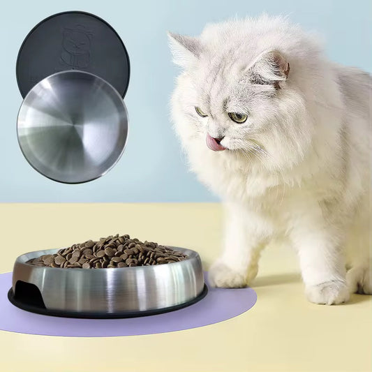 Stainless Steel Cat Food Bowl ~ Non-Slip, Hygienic & Stylish