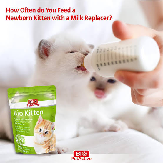 Bio PetActive Kitten Milk Replacer Powder – Nutritional Supplement for Kittens