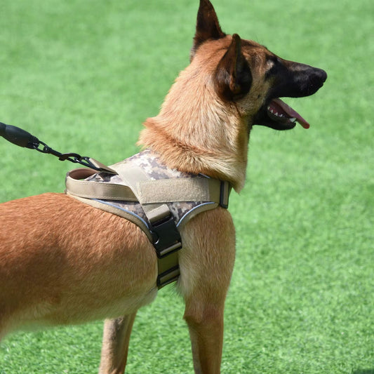 Adjustable Reflective Tactical Dog Harness – No-Pull & High Visibility Safety