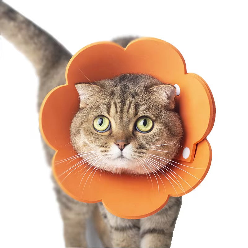 Anti-Licking Elizabeth Cone for Cats – Soft, Comfortable, and Adjustable Recovery Collar in Kenya