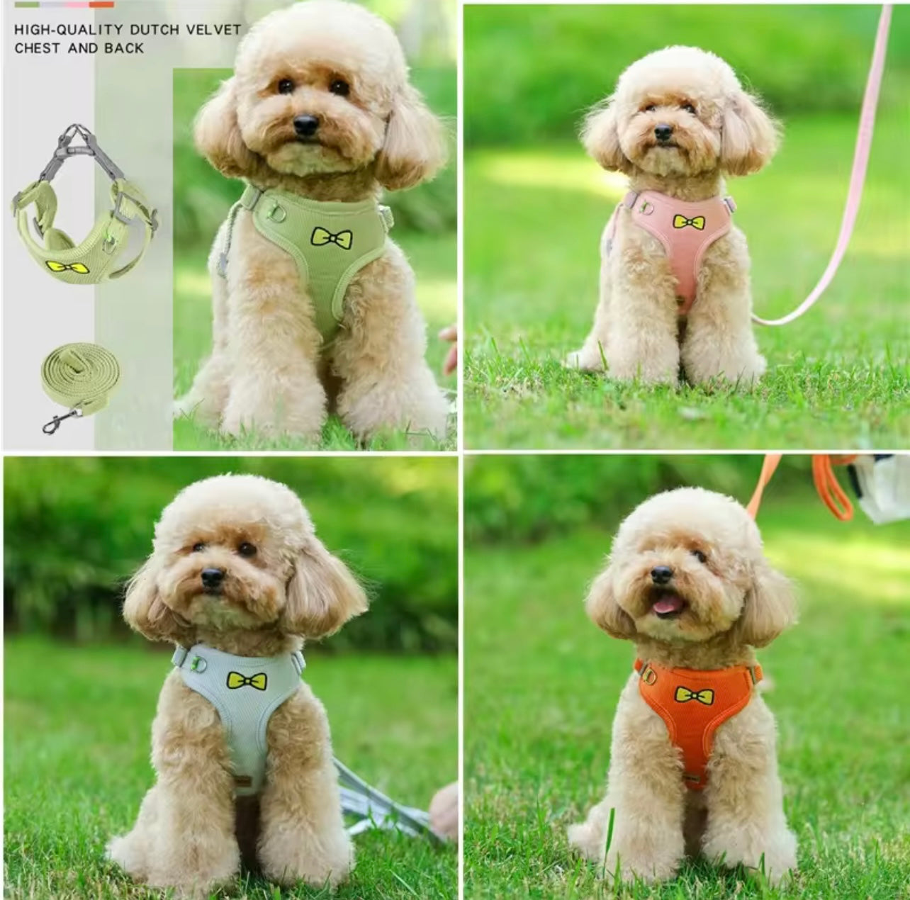Vest Cat Harness – Safe & Comfortable Outdoor Gear for Kenyan Cats