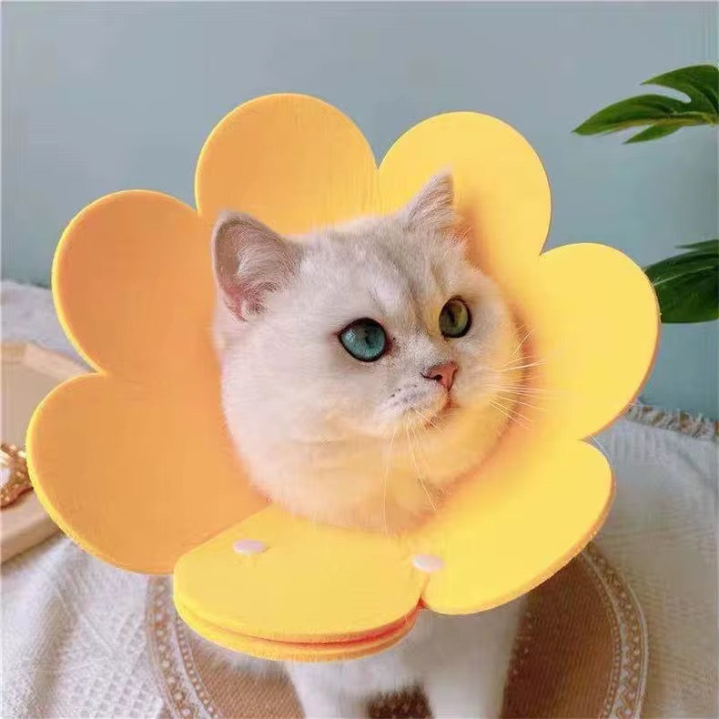 Anti-Licking Elizabeth Cone for Cats – Soft, Comfortable, and Adjustable Recovery Collar in Kenya