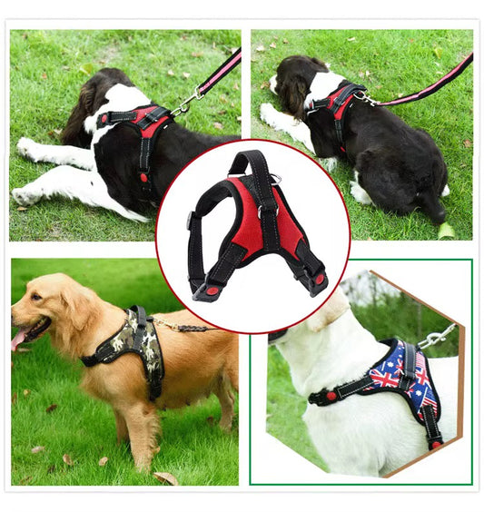 Dog Harness