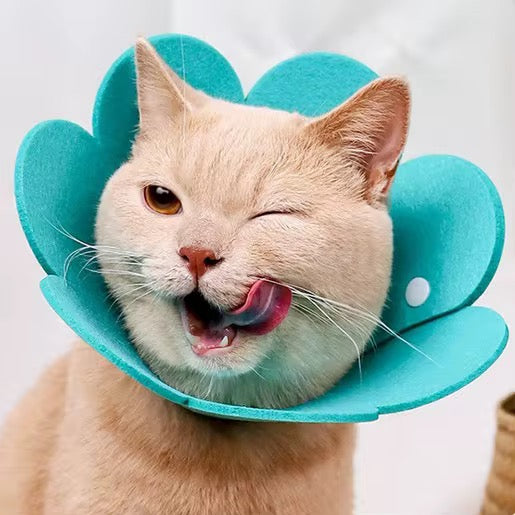 Anti-Licking Elizabeth Cone for Cats – Soft, Comfortable, and Adjustable Recovery Collar in Kenya
