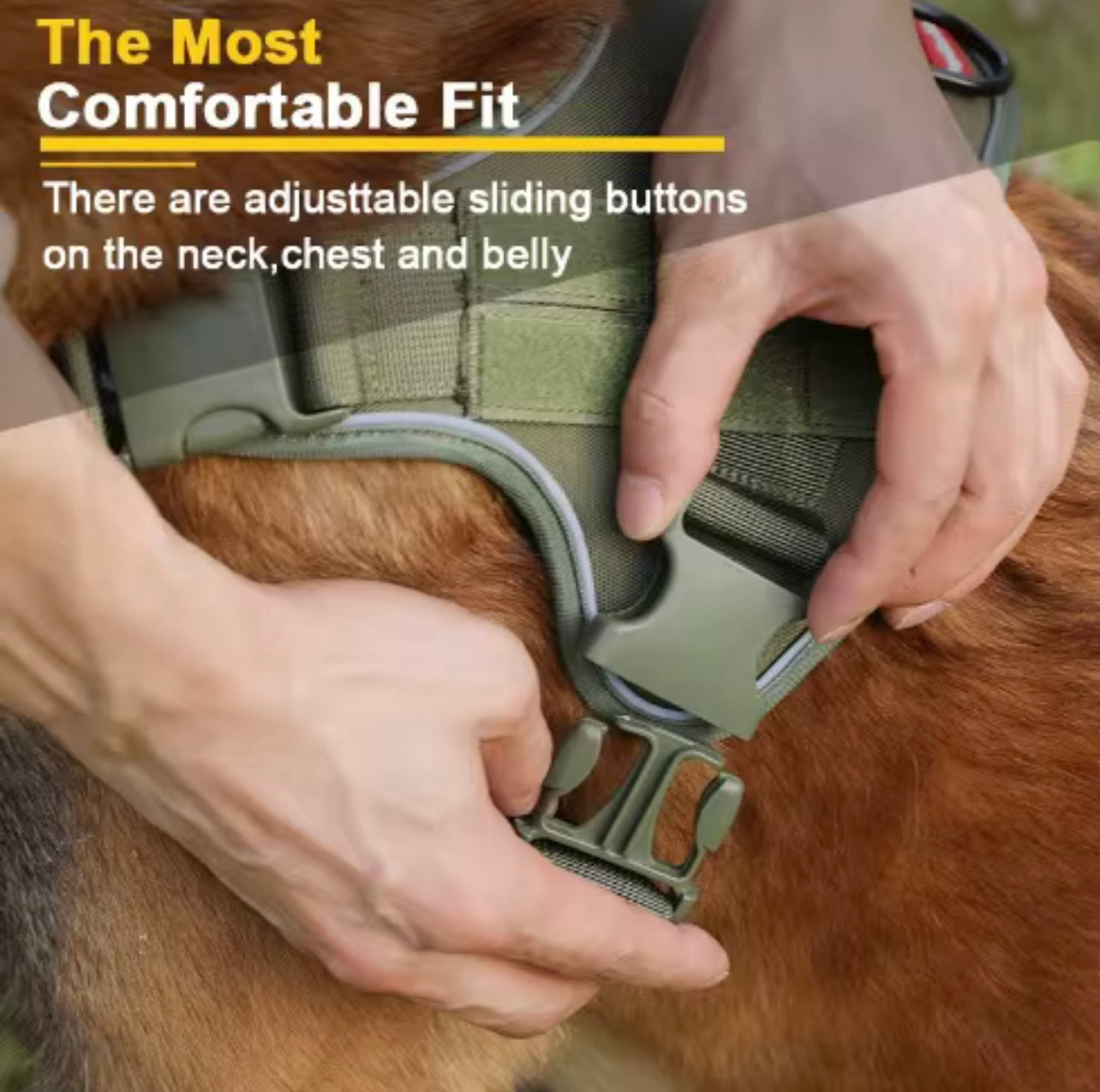Heavy-Duty Tactical Dog Harness with MOLLE Panels & Reinforced Handle