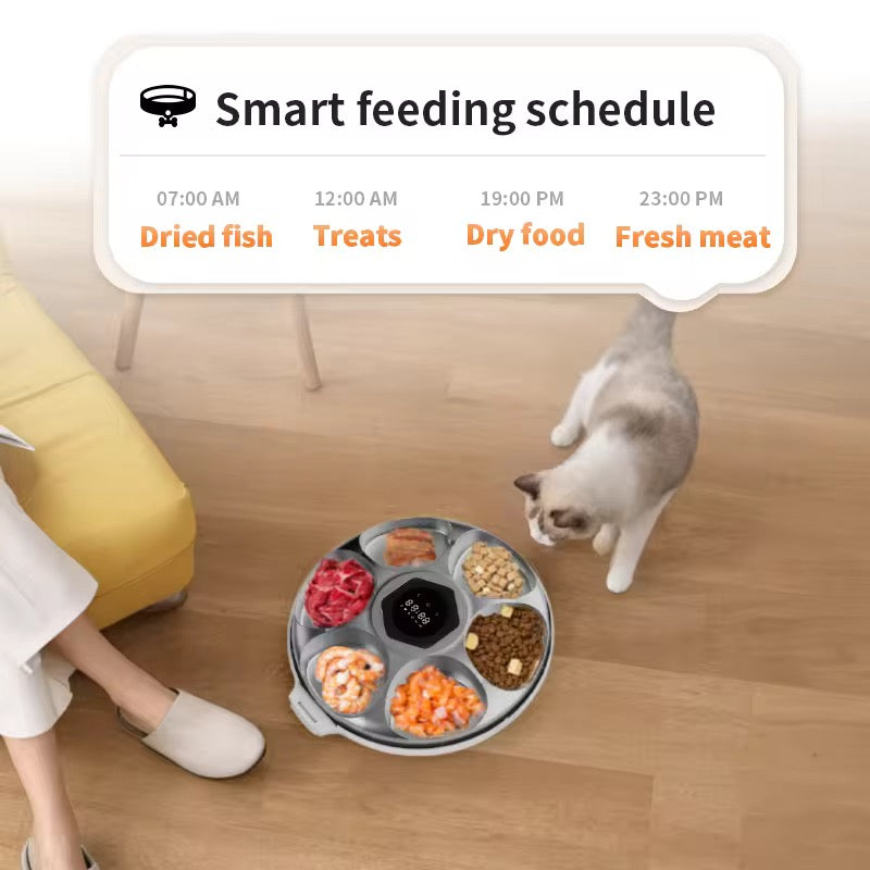 Automatic Wet Food Cat Feeder – Timed Feeding for Fresh Meals & Portion Control