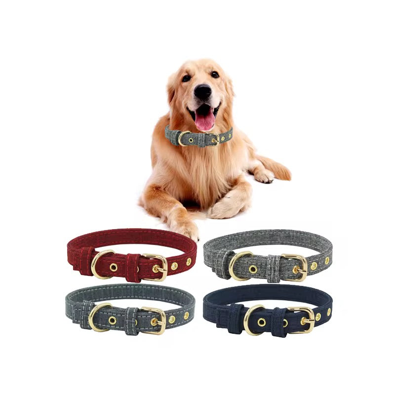 Dog Collar