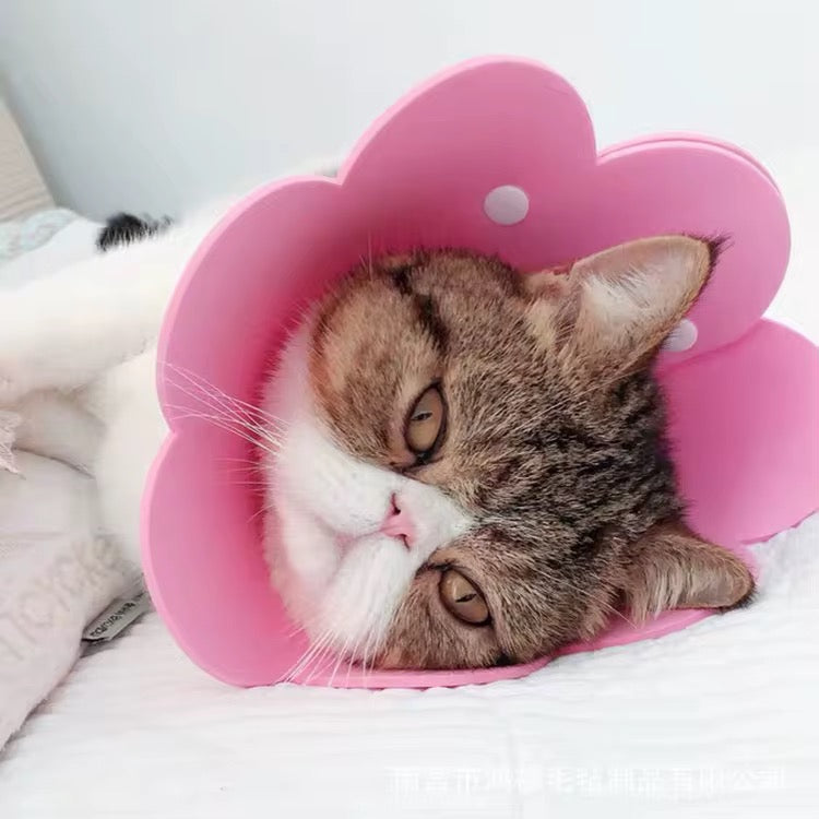 Anti-Licking Elizabeth Cone for Cats – Soft, Comfortable, and Adjustable Recovery Collar in Kenya