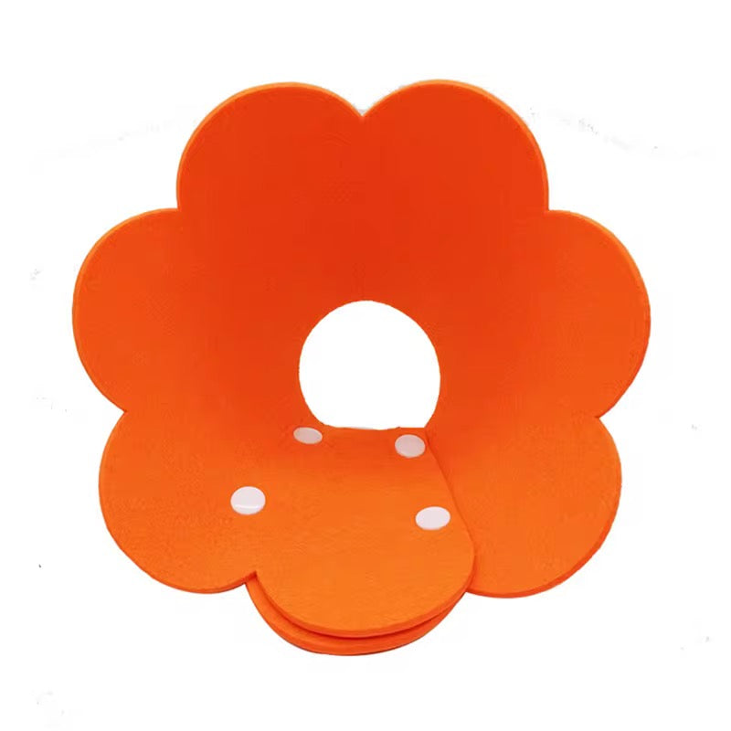 Anti-Licking Elizabeth Cone for Cats – Soft, Comfortable, and Adjustable Recovery Collar in Kenya