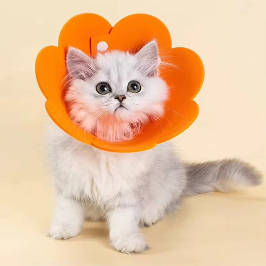 Anti-Licking Elizabeth Cone for Cats – Soft, Comfortable, and Adjustable Recovery Collar in Kenya