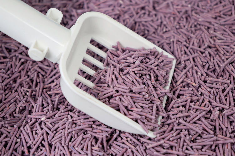 M-PETS Soya Tofu Cat Litter – Lavender Scented, Fast Clumping & Odor Control