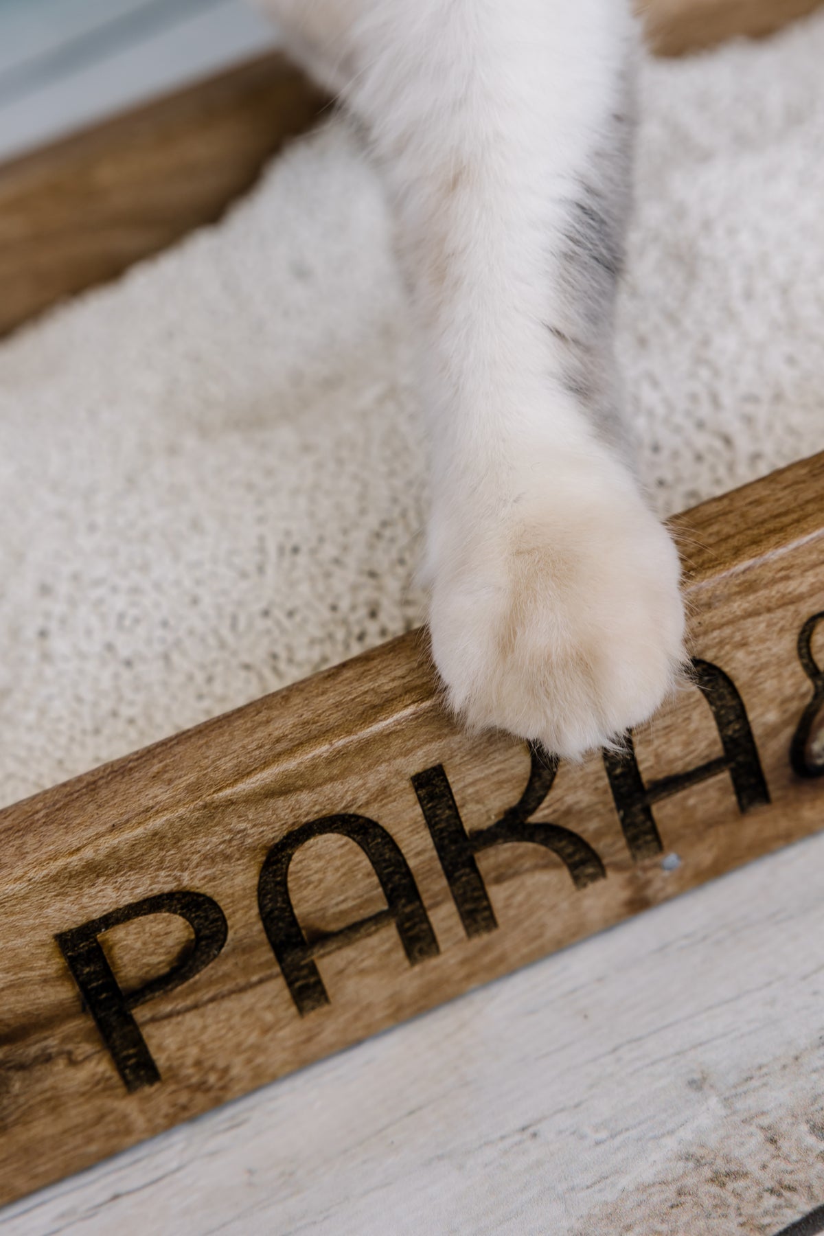Paka & Co Cassava Cat Litter – Natural Clumping Low Dust Cat Litter in Kenya