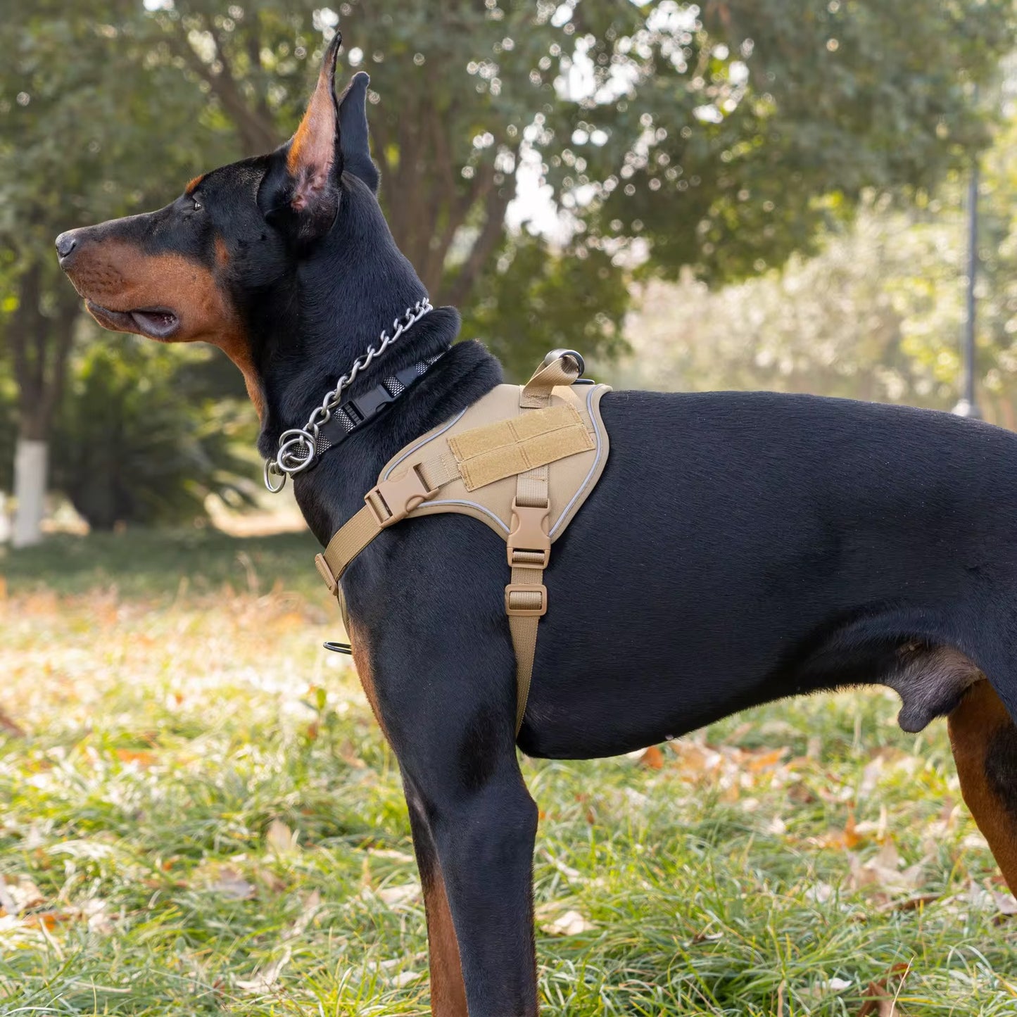 Heavy-Duty Tactical Dog Harness with MOLLE Panels & Reinforced Handle