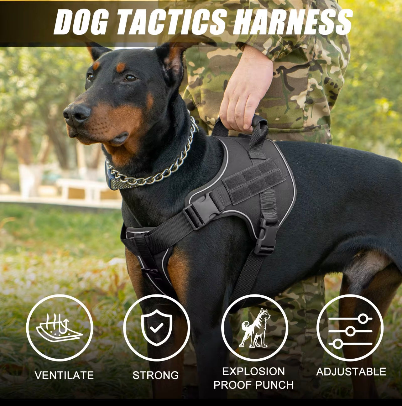 Heavy-Duty Tactical Dog Harness with MOLLE Panels & Reinforced Handle