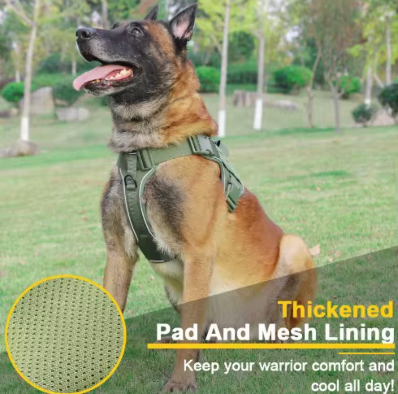 Heavy-Duty Tactical Dog Harness with MOLLE Panels & Reinforced Handle
